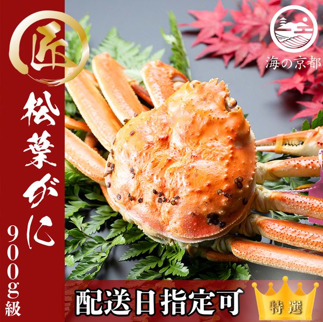 【配送日指定可】茹で松葉蟹 大1杯 900g級 蟹 カニ かに 松葉蟹 松葉ガニ ズワイガニ 海鮮 ボイル myz05 myz11 myz16