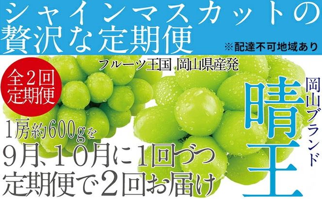 ぶどう 先行予約 【2回定期便】 シャイン マスカット 晴王 1房 約600g ブドウ 葡萄  岡山県産 国産 フルーツ 果物 ギフト デザート 食後 酸味が少ない 9月・10月にお届け ハレノフルーツ