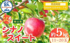 【先行予約丨2026年10月中旬より順次発送】訳あり シナノスイート【約5kg (11〜20玉)】(At-021)丨長野県 飯山市 おすすめ ランキング おいしい 高評価 大人気 先取り 産地直送 りんご 訳あり 規格外