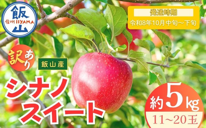【先行予約丨2026年10月中旬より順次発送】訳あり シナノスイート【約5kg (11〜20玉)】(At-021)丨長野県 飯山市 おすすめ ランキング おいしい 高評価 大人気 先取り 産地直送 りんご 訳あり 規格外