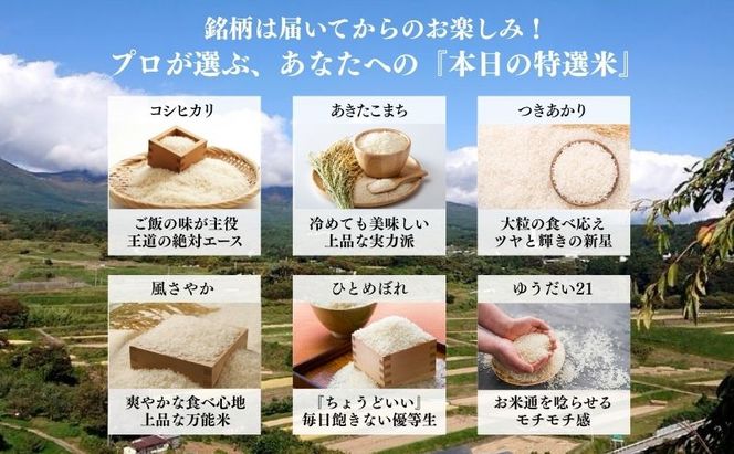 お米マイスターおすすめ小諸米 精米 3kg 3ヶ月定期便 信州 長野 ごはん ご飯 コメ コシヒカリ あきたこまち つきあかり 風さやか ひとめぼれ ゆうだい21