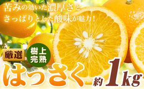 厳選 樹上完熟 はっさく 八朔 みかん 1kg+250g（傷み補償） 池田鹿蔵農園 @日高町《4月上旬-5月下旬頃出荷》和歌山県 日高町 送料無料 はっさくみかん ハッサク 厳選八朔みかん【配送不可地域あり】---wsh_idn319_4j5m_25_6000_1kg---