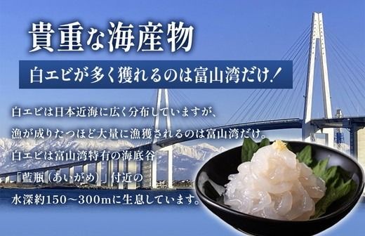【射水市】【射水のおいしい海鮮】【新湊産】射水市新湊漁港の紅白寿セット 白エビ・甘エビ むき身セット 各100g