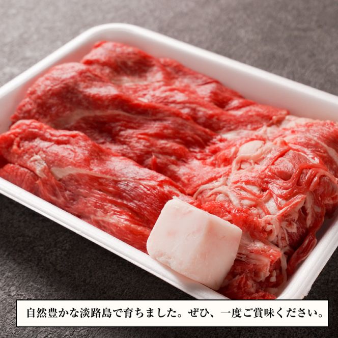 【訳あり】淡路牛すきやき・焼きしゃぶ用 600ｇ 　訳あり