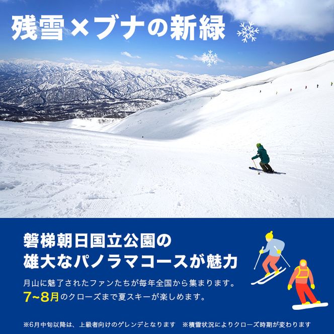 FYN6-536 月山スキー場ペアリフトで使える リフトご利用券 3000円分 月山スキー 月山登山 スキー 登山 山登り ハイキング トレッキング 旅行 体験 チケット 山形県 西川町 月山
