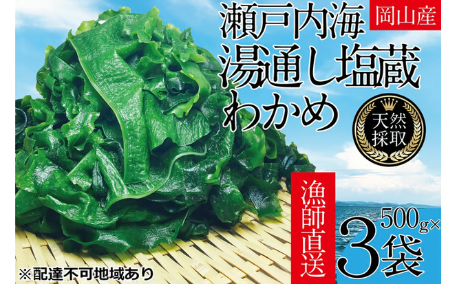 湯通し塩蔵 瀬戸内 わかめ 500g×3袋【岡山 瀬戸内海 天然 塩蔵】 [№5735-1281]