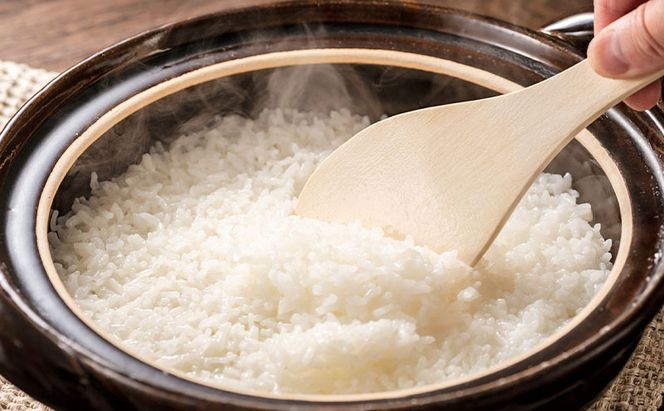 令和8年度産米 元気つくし 5kg  福岡県朝倉産 白米 精米 お米