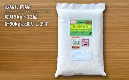 【 全12回 定期便 】米 旋風 ヒノヒカリ 5kg 《糸島》【百笑屋】 [ABF022]  米 お米 白米 精米 定期便 ひのひかり