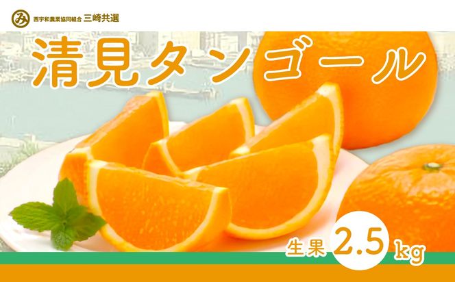 yQɕzys\z^S[i2.5kgjւ̔zsi2026N3{菇\j IKTBD014