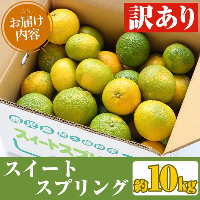 ＜先行予約受付中！2026年12月下旬以降順次発送予定＞訳あり！スイートスプリング(約10kg) 国産 鹿児島県産 阿久根市産 柑橘 みかん 果物 フルーツ デザート ご家庭用 ご自宅用 訳アリ 数量限定 期間限定 スイスプ【有限会社まなべみかん園】akn034-02