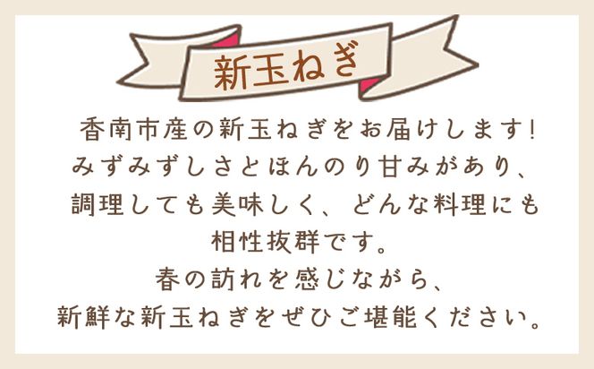 【2026年３月以降順次発送】新玉ねぎ 10ｋｇ 家庭用 yr-0080