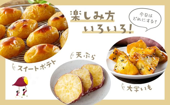 【数量限定】境町産 さつまいも 熟成紅はるか 小さめサイズ (SS～S) 約3kg 土付き 不揃い ねっとり 甘い 国産 熟成さつまいも べにはるか 芋 生芋 焼き芋 サツマイモ 無選別 茨城県 K2691