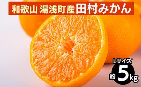 【先行予約】 田村みかん 約5kg 【Lサイズ】 和歌山県 湯浅町 田村地区産