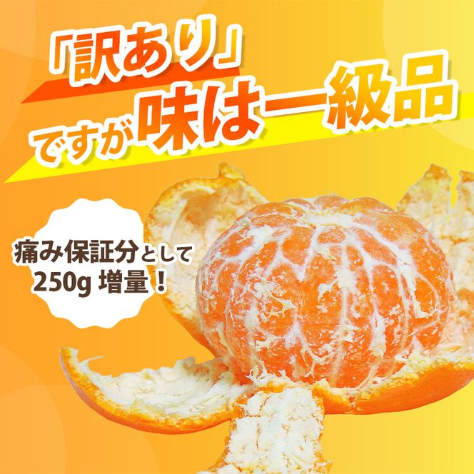 家庭用 有田 みかん サイズ混合(2S～2L)2.5kg+250g ※11月発送(完熟) / 温州みかん 有田みかん 訳あり 甘い 光センサー選果 果物 柑橘 和歌山 ※北海道・沖縄・離島への配送不可 【ikd004-cm-2d5-nov】
