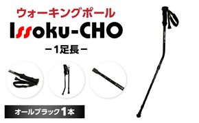 【R17032】ウォーキングポール Issoku-CHO（1足長） オールブラック 1本