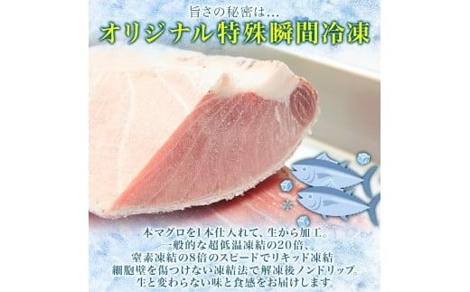 大間産 本マグロ 中トロ 約160g 柵 まぐろ 鮪 本鮪 クロマグロ マグロ 中とろ 柵取り 天然 国産 北海道産 レア 刺身 海鮮 お取り寄せ 専門店 ギフト 人気 冷凍 鮪斗 北海道 函館市_HD144-008