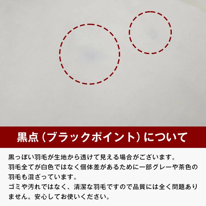 薄掛け羽毛 合い掛け 日本製 900g エクセルゴールド 軽量生地 ふわかる1509