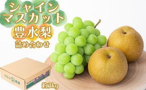 シャインマスカット、豊水梨　詰め合わせ約3kg箱 CC50