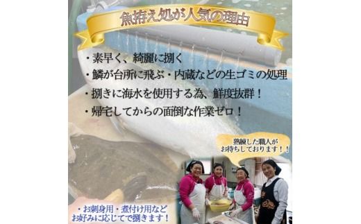 岬だよりの＜釣ったお魚プロが代わりに下処理します＞魚捌き券(6000円相当)