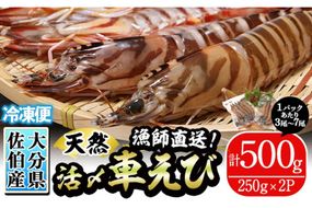 漁師直送! 天然活〆車えび (計500g・250g×2P) 大分県産 【EJ01】【萬漁丸】