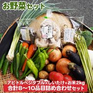 お野菜セット アビトルベジタブル+しいたけ+お米2kg 合計8～10品目詰め合わせセット 季節の野菜 旬の野菜 やさい 新鮮 産地直送 米 きのこ キノコ お米 産直 国産 京都 京都産 ※北海道・沖縄・離島への配送不可