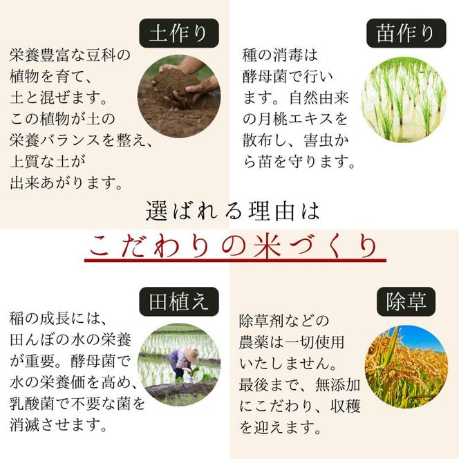 ベストファーマーズ賞受賞 コシヒカリ 玄米 5kg 無農薬 無添加 令和8年産 お米 チャック付 小分け 少量 少量パック お試し 白米 精米 産地直送 一等米 送料無料 長野 長野県 小諸市