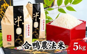 合鴨農法米(5kg) 精米 雑穀 お米