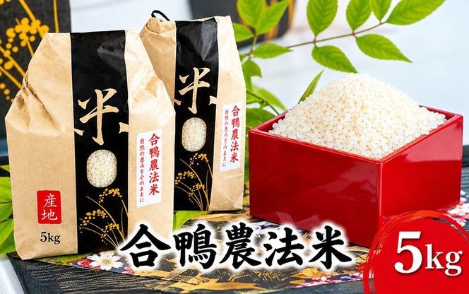 合鴨農法米(5kg) 精米 雑穀 お米
