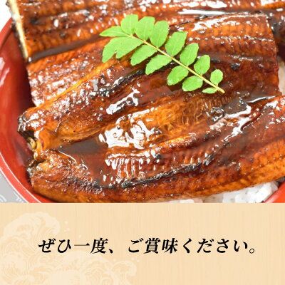 うなぎ蒲焼き2尾入(合計430～480g) 蒲焼たれ4袋（山椒付き）_AZ6024
