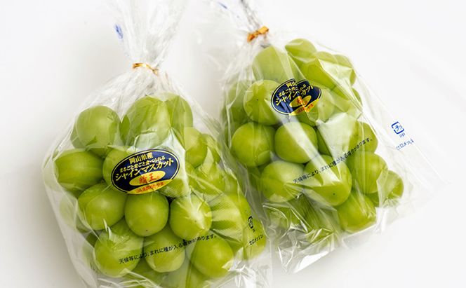 ぶどう 2026年 先行予約 シャイン マスカット 晴王 2房 （合計約1.1kg） 化粧箱入り マスカット ブドウ 葡萄  岡山県産 国産 フルーツ 果物 ギフト