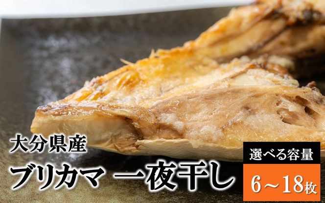【選べる容量】大分県産ブリカマ 一夜干し_2661R