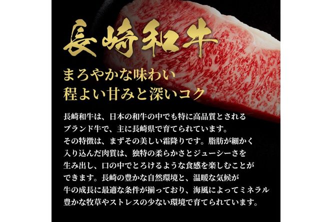 AI258 長崎和牛 サーロインステーキ 計720g (180g×4枚) [ 肉 和牛 牛肉 サーロイン ステーキ Giverichホールディングス 長崎県 島原市 ]