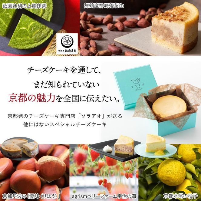 【ソラアオ】ぷりん詰め合わせセット（4個入り）| 京都 チーズケーキ専門店 人気セット［ 京都  とろ生プリン カスタードプリン スイーツ プリン 人気 おすすめ 洋菓子 お取り寄せ 通販 送料無料 ふるさと納税 ］ 261009_B-QW14