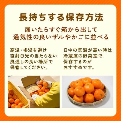 【先行予約】贈答品 愛媛みかん 5kg 傷み補償 250g 増量 発送期間 2026年11月上旬以降 みかん 愛媛みかん 温州みかん 南柑20号 柑橘 蜜柑 かんきつ 冬 秋 旬 正月 愛媛 愛媛県 愛南町 お歳暮 プレゼント くだもの 果物 フルーツ スイーツ おやつ お菓子 和菓子 甘い 糖度 オレンジ 冷凍 みかん ジュース 清家ばんかんビレッジ