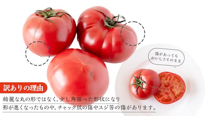 【 訳あり 】 スーパーフルーツトマト 大箱 約2.6kg × 1箱 【大玉 20～35玉】 野菜ソムリエサミット 金賞 糖度9度 以上 野菜 フルーツトマト フルーツ トマト とまと [AF055ci]