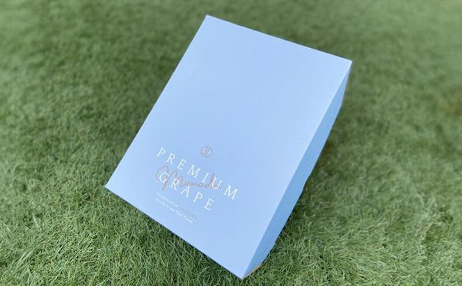 ぶどう 2026年 先行予約 贈答用 シャインマスカット ＆ ニューピオーネ 詰合せ 600g以上×各1房 ブドウ 葡萄 岡山県 赤磐市産 フルーツ 果物 ギフト 