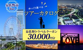 099V032 大阪府 泉佐野市 旅行クーポン 30,000円分 温泉 体験  観光 旅行 ホテル 旅館 老舗 高級 トラベル チケット 家族 カップル 宿泊 予約 おすすめ 父の日 母の日 旅行券 宿泊券
