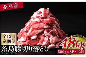 【 全12回 定期便 】 糸島 豚 切り落とし 4kg ( 500g × 8P ) 糸島 【幸栄物産】[ABH019]