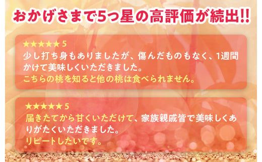 透過式光センサー川中島白桃 特秀3kg相当 9玉～11玉＜ ふくしま未来農業協同組合 ＞ | ふくしま 桃 福島 もも 国見 モモ ※2026年8月中旬頃より順次発送予定 ※沖縄・離島への配送不可