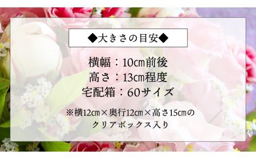 ≪ギフト≫プリザーブドフラワーS プリザーブドフラワー インテリア ギフト プレゼント 誕生日 記念日 母の日 父の日 [CT031ci]
