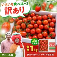 【訳あり】【先行予約】【全3回定期便】訳あり 赤いミニトマトの宝石箱 約1kg×3回 / 旬を楽しむ定期便〈2026年12月から配送開始〉 約1キロ 3回定期便 トマト とまと ミックス 詰め合わせ セット 野菜 料理 サラダ マリネ 浅漬け おやつ 弁当 訳アリ 家庭用 高知県 土佐市【ファーム輝】 [BQBM012]