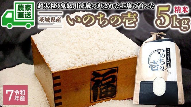 【選べる 玄米 精米】令和7年産 茨城県産 いのちの壱 5kg 米 こめ コメ 農家 直送 こだわり お米 おこめ 茨城 [BG013ya] [BG014ya]