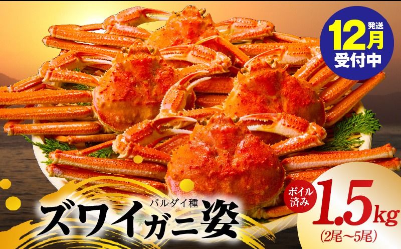 kgp0086y [年内発送]バルダイ種 ズワイガニ姿 1.5kg(2〜5尾)[訳あり規格 ボイル済み オオズワイガニ かに カニ 蟹 ズワイガニ ファミリー向け]