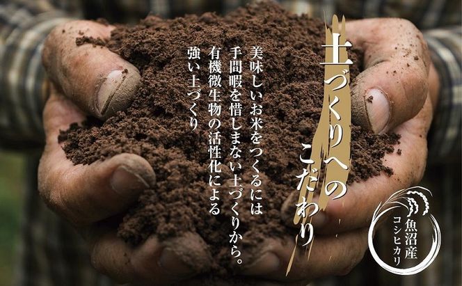 【定期便】｜無洗米｜ 新潟県 魚沼産 コシヒカリ お米 30kg×計12回 精米済み 年間 毎月発送 こしひかり（お米の美味しい炊き方ガイド付き） ご飯 ブランド米 銘柄米 