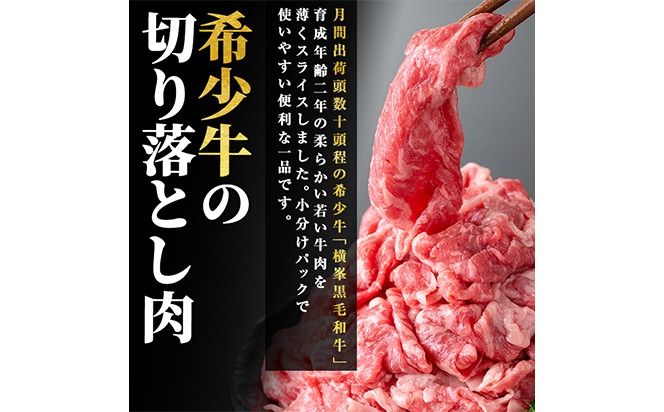 鹿児島県志布志市産横峯黒毛和牛の切り落とし肉(計500g・125g×4P) b0-193
