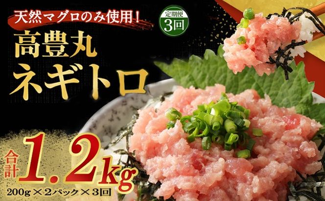 【定期便 / ３ヶ月連続】 土佐流藁焼きかつおのたたき２節と高豊丸ネギトロ４００ｇセット 魚介類 海産物 カツオ 鰹 わら焼き 高知 コロナ 緊急支援品 海鮮 冷凍 家庭用 訳あり 不揃い 規格外 連続 ３回 小分け 個包装 まぐろ マグロ 鮪 お手軽 藁 藁焼き かつお 室戸のたたき tk070