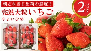 完熟 やよいひめ 2パック 先行予約 大粒 イチゴ 苺 いちご フルーツ 果物 [AF058ci]