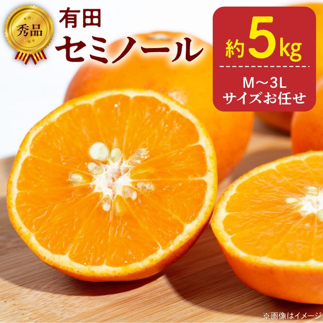 【2027年先行予約】秀品 セミノール 和歌山 有田 M～3Lサイズ 大きさお任せ 約5kg_DZ6209
