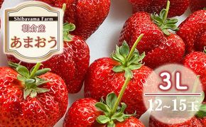 いちご 朝倉市産 あまおう 3L 12～15玉 イチゴ 苺 果物 デザート ＜Shibayama Farm＞ ※配送不可：離島 