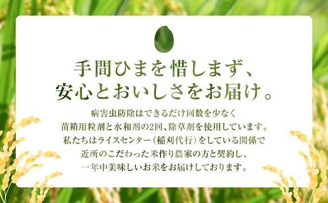 【令和7年産】 熊本県八代市産 森のくまさん 農家のとっておき 3kg×2袋 米 お米 精米  国産 白米 ごはん ご飯